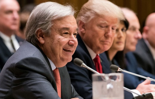 Lĩnh vực tài chính là ưu tiên quan trọng của LHQ