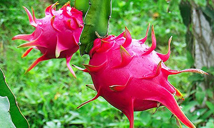 2216-thanh-1571968898-1571968912-15-5156-9920-1571969239