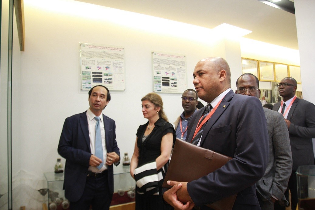 PGS. TS Đào Thế Anh: Hợp tác Việt Nam-châu Phi sang trang mới, bình đẳng, hai bên cùng có lợi