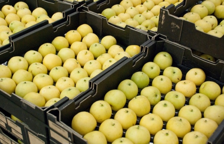 ASEAN là thị trường xuất khẩu nông sản lớn nhất của Hàn Quốc