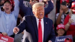 Bầu cử Mỹ 2020: Số người đặt cược đương kim Tổng thống Trump đắc cử tăng mạnh