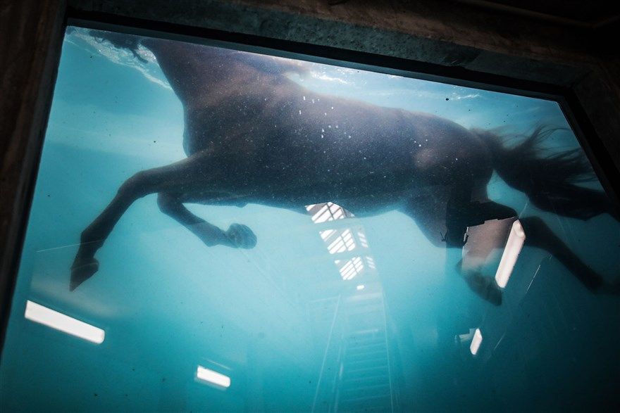 Ảnh ấn tượng tuần (19-25/10): Điều chưa từng có tiền lệ ở bầu cử Mỹ, lũ lụt miền Trung và nỗi đau xung đột Armenia-Azerbaijan anh an tuong tuan 19 2510 dieu chua tung co tien le o bau cu my lu lut mien trung va noi dau xung dot armenia azerbaijan