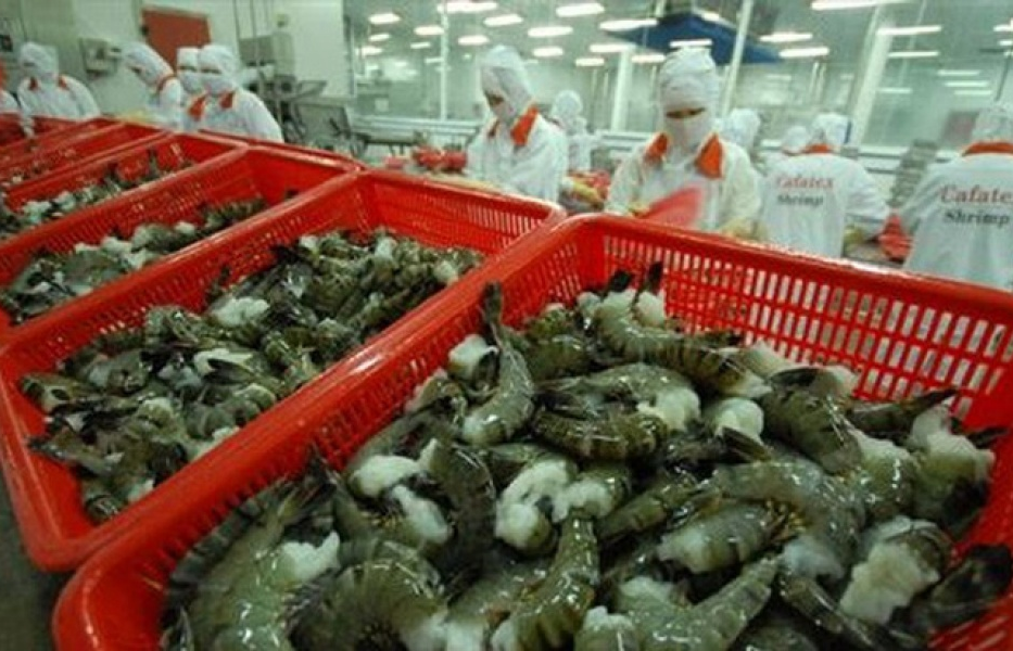 ​Con tôm Việt và con số 10 tỷ USD