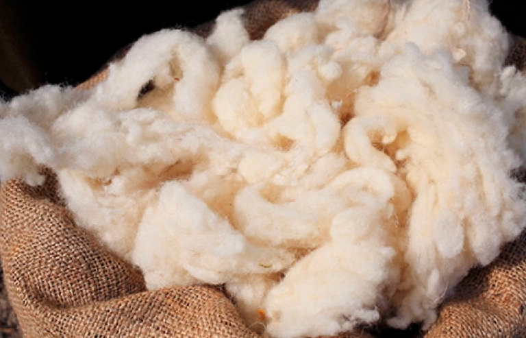 Gần 30 loại phế liệu sẽ bị ngưng tạm nhập, tái xuất