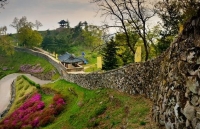 net thoi gian gia tai tranh ky hoa cua hoa sy ngo manh lan