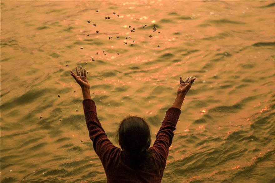 Ảnh ấn tượng thế giới tuần (2-8/11): Tổng thống đắc cử Mỹ Joe Biden với lời kêu gọi ‘cho nhau cơ hội’, xả súng đẫm máu ở Áo và Thu vàng ở Seoul