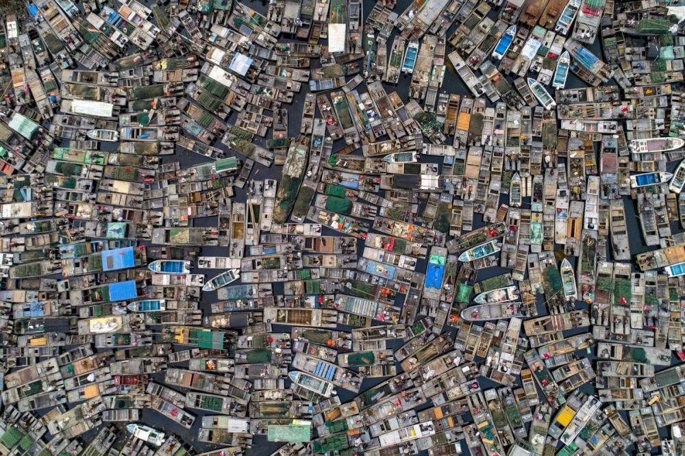 Ảnh ấn tượng thế giới tuần (2-8/11): Tổng thống đắc cử Mỹ Joe Biden với lời kêu gọi ‘cho nhau cơ hội’, xả súng đẫm máu ở Áo và Thu vàng ở Seoul