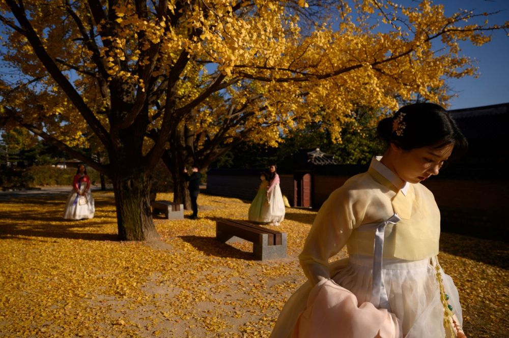 Ảnh ấn tượng thế giới tuần (2-8/11): Tổng thống đắc cử Mỹ Joe Biden với lời kêu gọi ‘cho nhau cơ hội’, xả súng đẫm máu ở Áo và Thu vàng ở Seoul