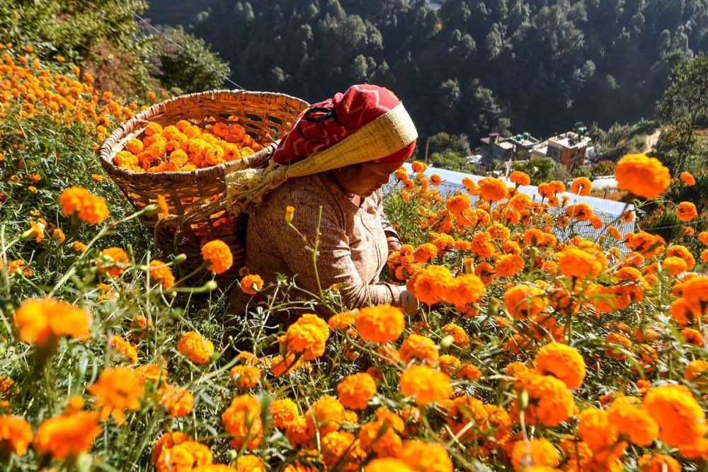 Ảnh ấn tượng tuần (9-15/11): Xúc cảm kết quả bầu cử Mỹ 2020, ‘cơn thịnh nộ’ của bão Vamco và Armenia hậu thỏa thuận ngừng bắn Ảnh ấn tượng tuần (9 15/11): Xúc cảm kết quả bầu cử Mỹ 2020, ‘cơn thịnh nộ’ của bão Vamco và Armenia hậu thỏa thuận ngừng bắn