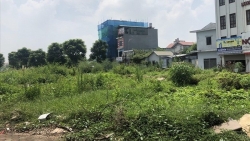 Bất động sản mới nhất: Thị trường phục hồi mạnh, một số phiên đấu giá đất ở Hà Nội tháng 11, Hải Dương sẽ có khu du lịch tâm linh 1.500ha