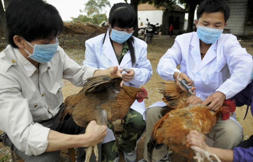 Chỉ đạo, điều hành của Chính phủ, Thủ tướng Chính phủ nổi bật tuần 27-31/3