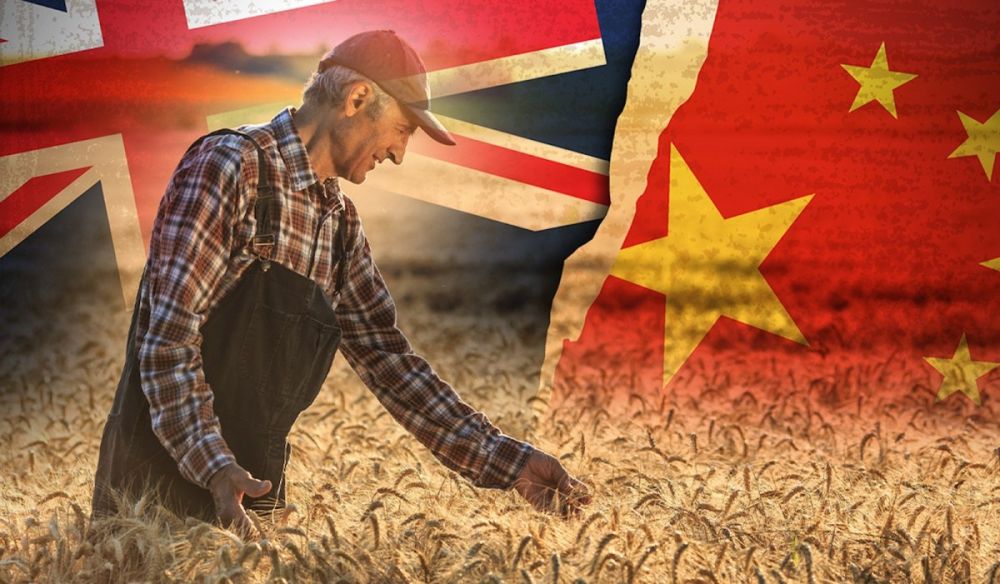 Căng thẳng thương mại Australia-Trung Quốc. (Nguồn: NDR)