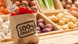 Xuất khẩu ngày 8-11/12: Top 7 nông sản xuất khẩu doanh thu 2 tỷ USD; giá gạo Việt cao nhất lịch sử, yêu cầu mới với sản phẩm hữu cơ vào EU