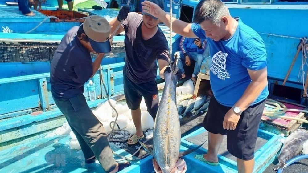 Xuất khẩu ngày 15-18/12: Xuất khẩu sang Trung Quốc tăng 16%; hạn ngạch gạo vào EAEU; ra mắt cẩm nang bán hàng vào hệ thống phân phối nước ngoài