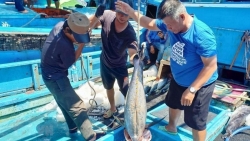 Xuất khẩu ngày 15-18/12: Xuất khẩu sang Trung Quốc tăng 16%; hạn ngạch gạo vào EAEU; ra mắt cẩm nang bán hàng vào hệ thống phân phối nước ngoài