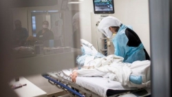 Covid-19: Dự báo thời điểm ca tử vong ở Mỹ lên 460.000; Malaysia sắp nhận vaccine, EU rò rỉ bảng giá, Canada thận trọng