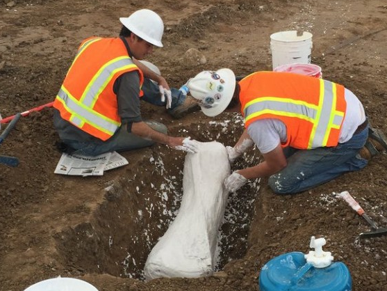 Khai quật xương voi ma mút 10.000 năm tuổi