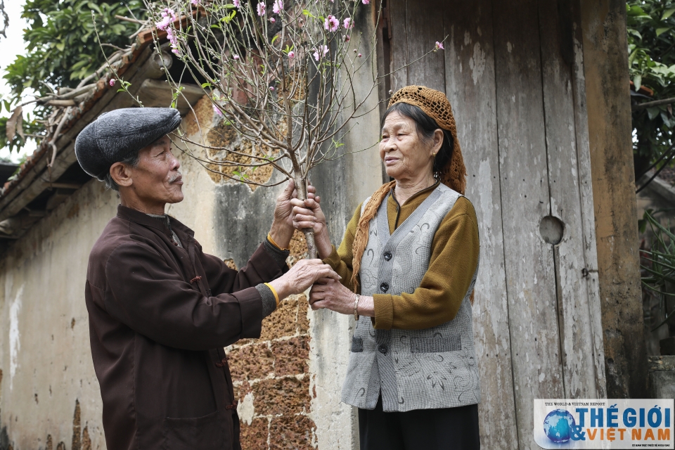 phong tuc goi banh chung don tet som o mot lang co ven do