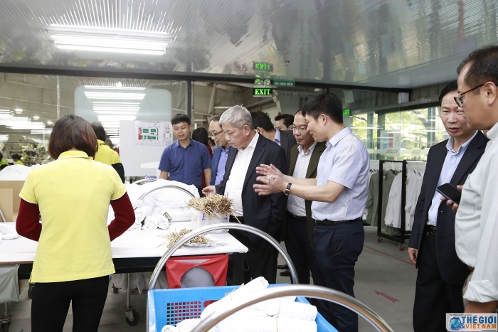 cac truong co quan dai dien viet nam lam viec tai tinh thai binh