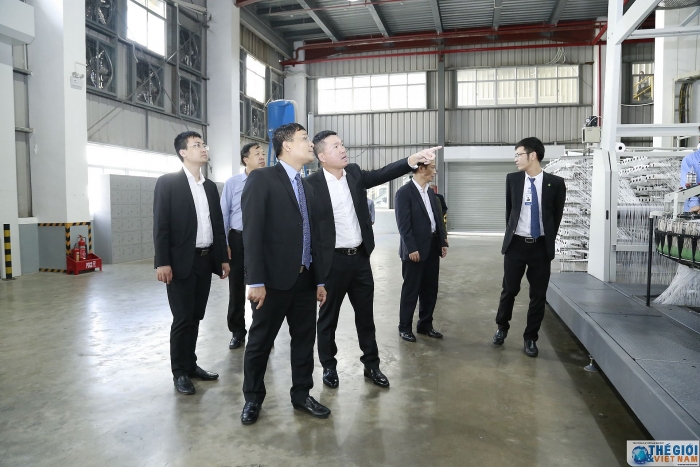 doan truong co quan dai dien viet nam lam viec tai tinh hai duong