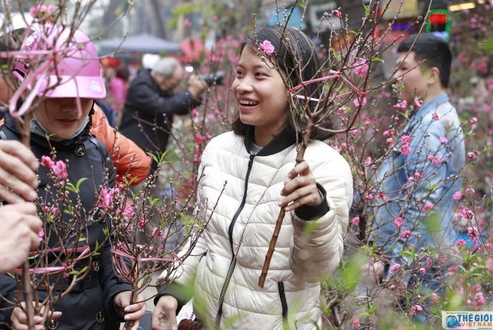 Dạo chợ hoa Tết Canh Tý