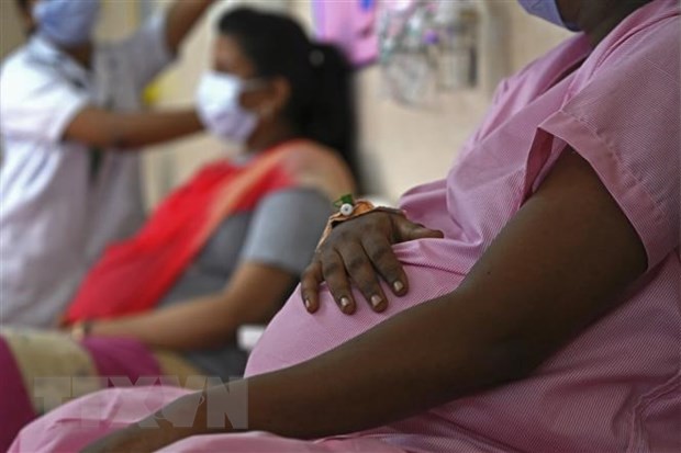 Vaccine phòng COVID-19 không ảnh hưởng khả năng thụ thai