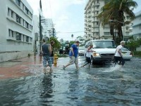 nuoc bien dang se nhan chim nhieu quoc gia thanh pho