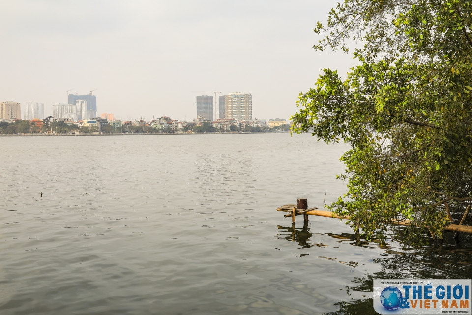 Dự báo thời tiết đêm nay và ngày mai (23-24/5): Hà Nội có lúc mưa rào, giông; Trung Trung Bộ nắng nóng gay gắt; Đông Bắc Bộ, Nam Bộ mưa to cục bộ Dự báo thời tiết đêm nay và ngày mai (23-24/5): Hà Nội có lúc mưa rào, giông; Trung Trung Bộ nắng nóng gay gắt; Đông Bắc Bộ, Nam Bộ mưa to cục bộ