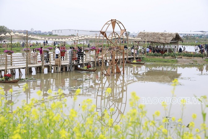 Rực rỡ Đường hoa Xuân Hà Nội Tết Nhâm Dần Rực rỡ Đường hoa Xuân Hà Nội Tết Nhâm Dần