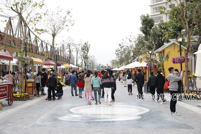 Rực rỡ Đường hoa Xuân Hà Nội Tết Nhâm Dần Rực rỡ Đường hoa Xuân Hà Nội Tết Nhâm Dần