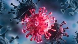 Covid-19: Phát hiện ít nhất ba biến thể lai giữa Delta và Omicron