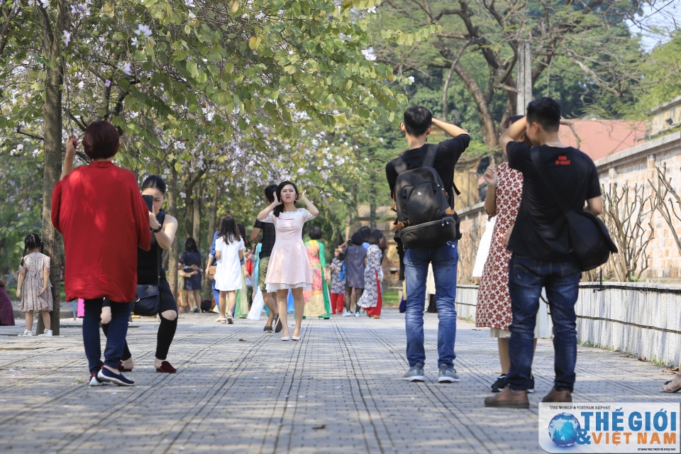 xon xao mua hoa ban ha noi