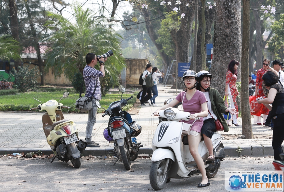 xon xao mua hoa ban ha noi