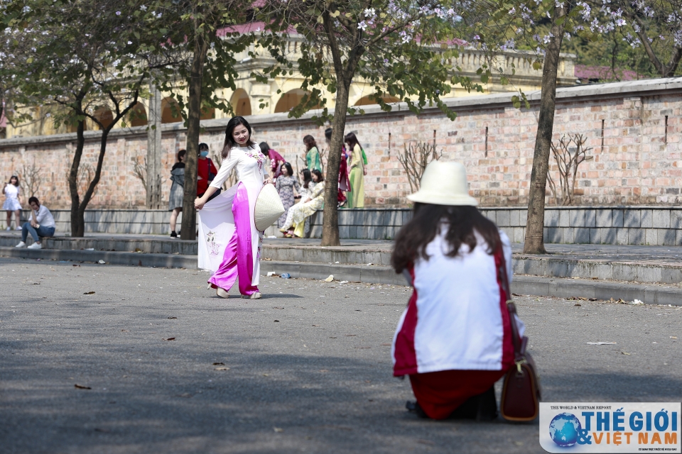 xon xao mua hoa ban ha noi