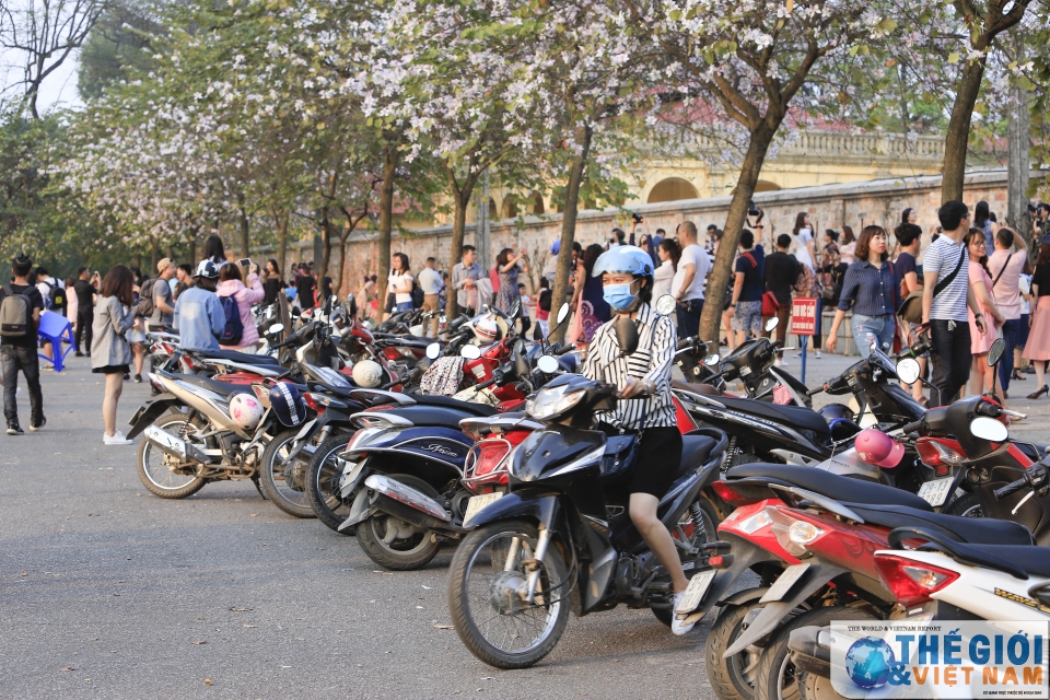 xon xao mua hoa ban ha noi