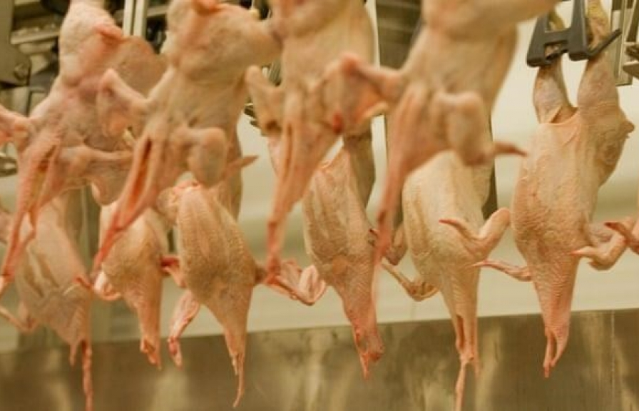 Mỹ tố cáo truyền thông Anh "bôi nhọ" hàng nông sản Mỹ