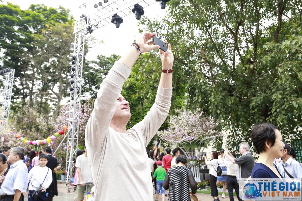 Náo nức Lễ hội hoa anh đào Việt Nam - Nhật Bản 2019 nao nhiet le hoi hoa anh dao viet nam nhat ban 2019