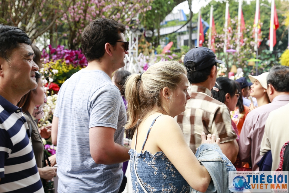 Náo nức Lễ hội hoa anh đào Việt Nam - Nhật Bản 2019 nao nhiet le hoi hoa anh dao viet nam nhat ban 2019