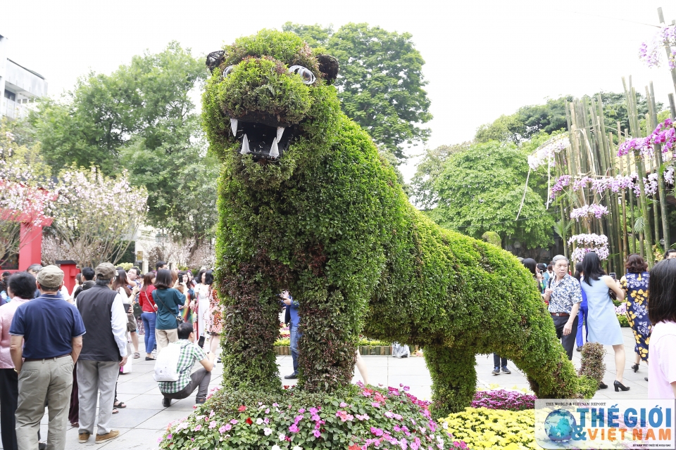 Náo nức Lễ hội hoa anh đào Việt Nam - Nhật Bản 2019 nao nhiet le hoi hoa anh dao viet nam nhat ban 2019
