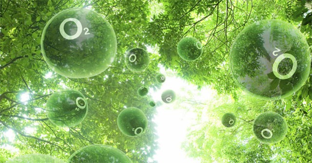 Giả thuyết mới về nguồn gốc của oxy trên Trái đất