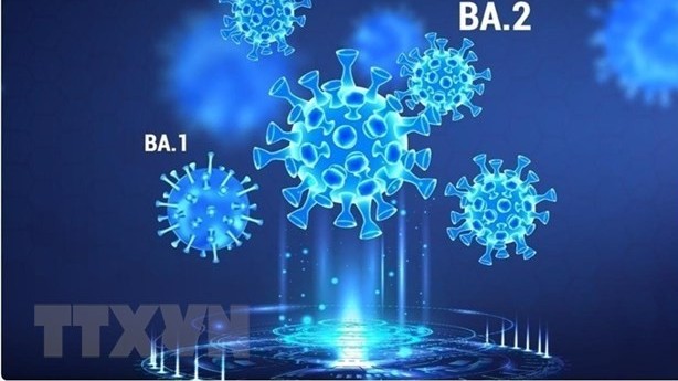 Cảnh báo nguy cơ xuất hiện biến thể nguy hiểm hơn Omicron
