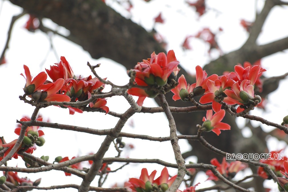 Check-in bên Hồ Gươm