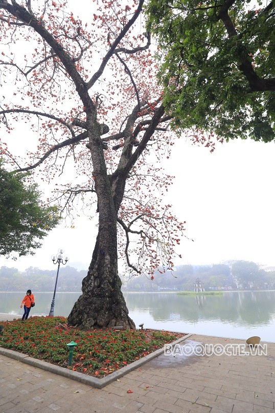 Check-in bên Hồ Gươm
