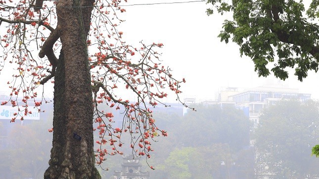 World Travel Awards 2022: Việt Nam được vinh danh nhiều điểm đến hàng đầu thế giới