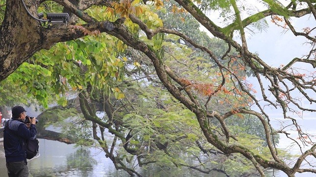 Việt Nam lọt top bình chọn điểm đến nổi bật trong năm 2023