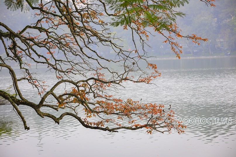 Check-in bên Hồ Gươm