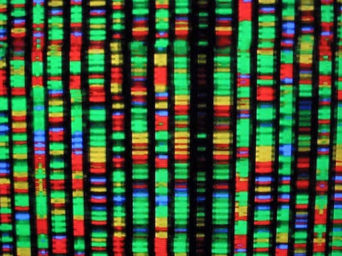 Ổ cứng siêu nhỏ có thể lưu trữ 700 Terabyte