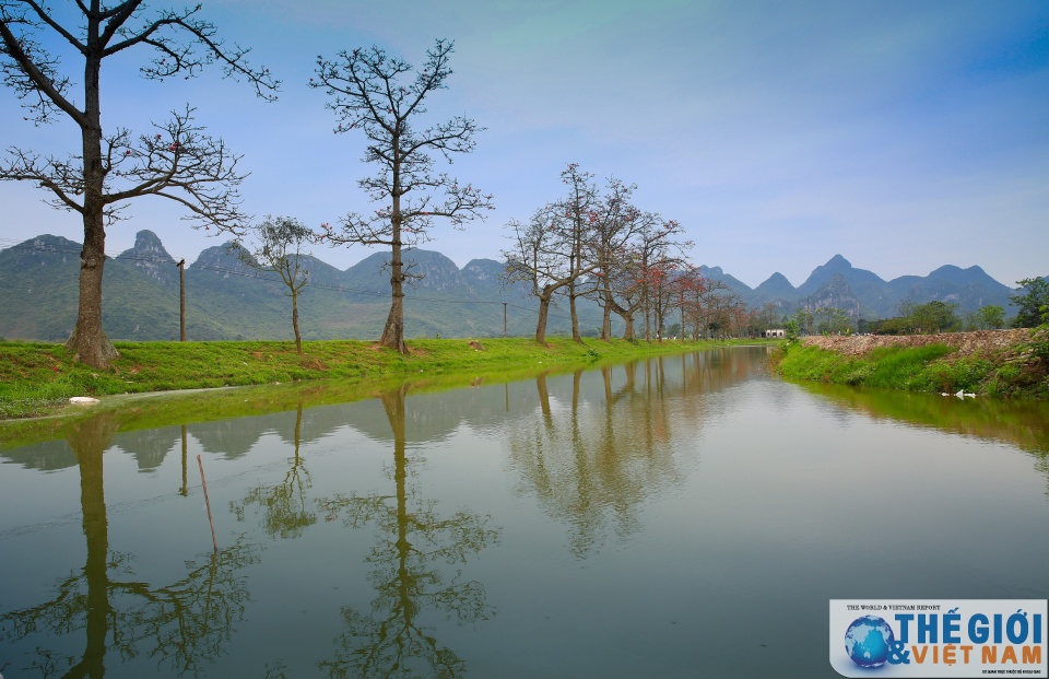 mua hoa gao thap lua do troi que bac bo
