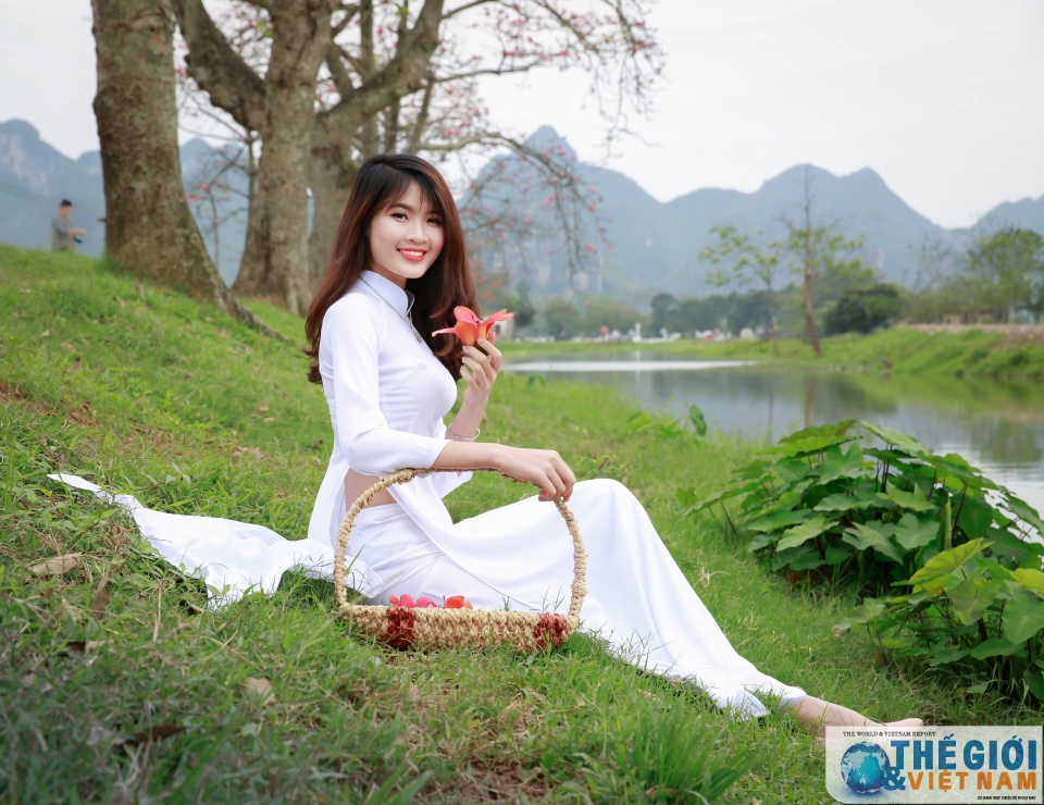 mua hoa gao thap lua do troi que bac bo