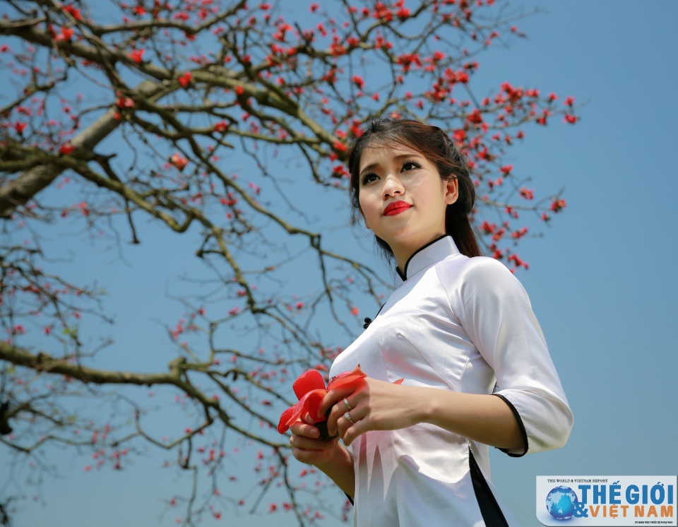 mua hoa gao thap lua do troi que bac bo